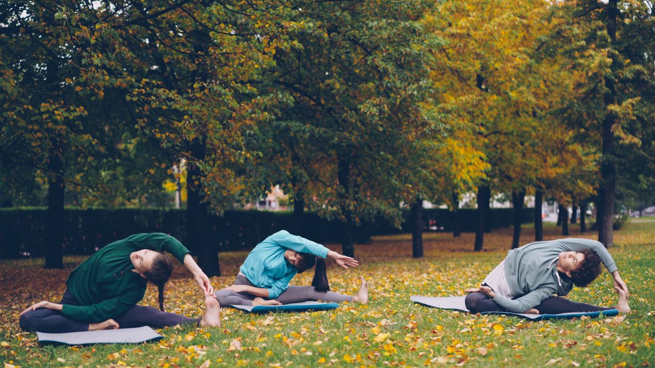 services-04 Three people practicing yoga in a park during fall surrounded by trees.